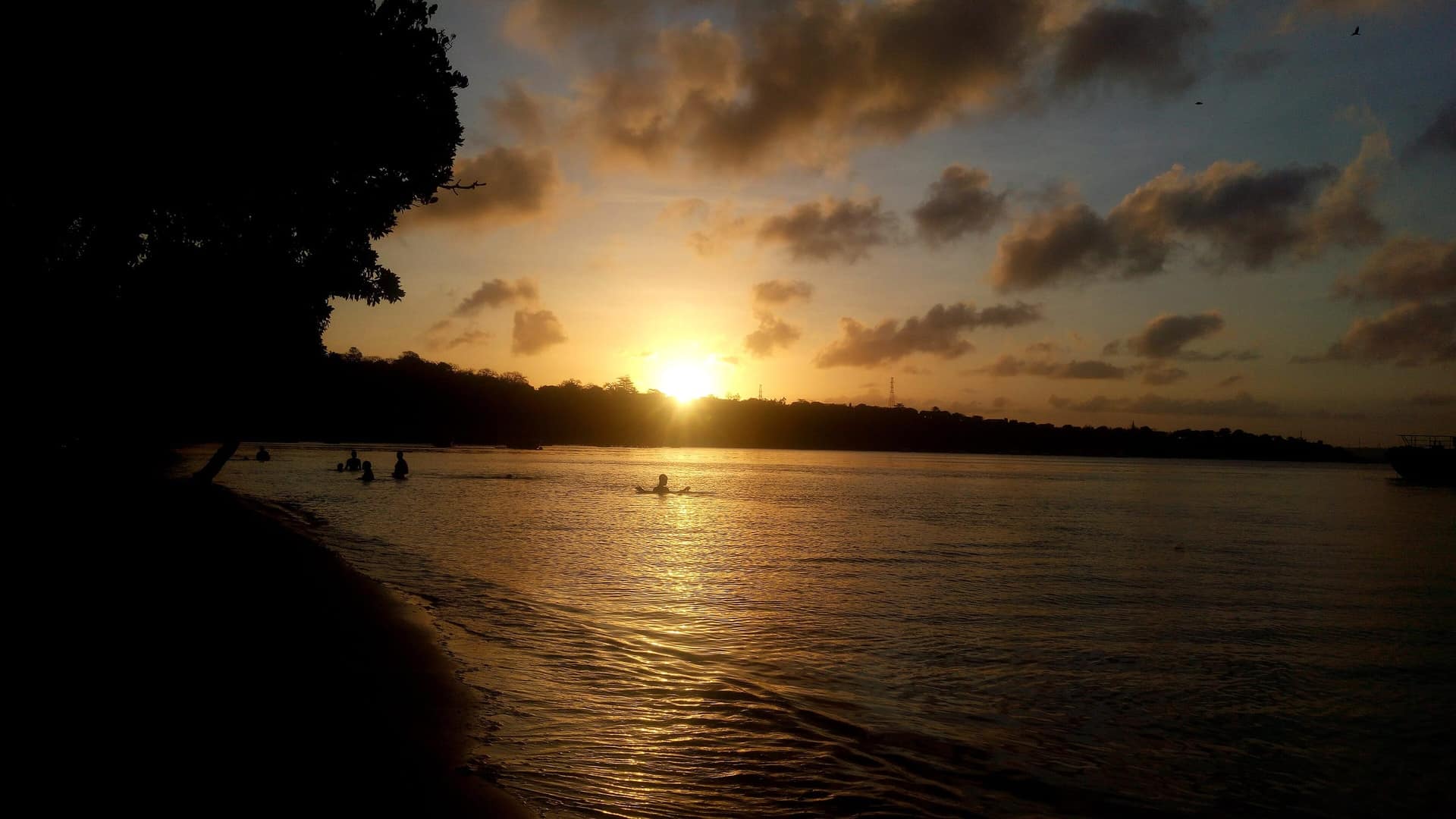 Tramonto su acque calme accanto a una riva orlata di mangrovie