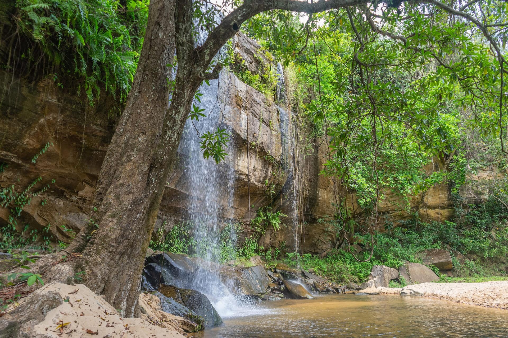 Sheldrick Falls in the forest of Shimba Hills National Reserve
