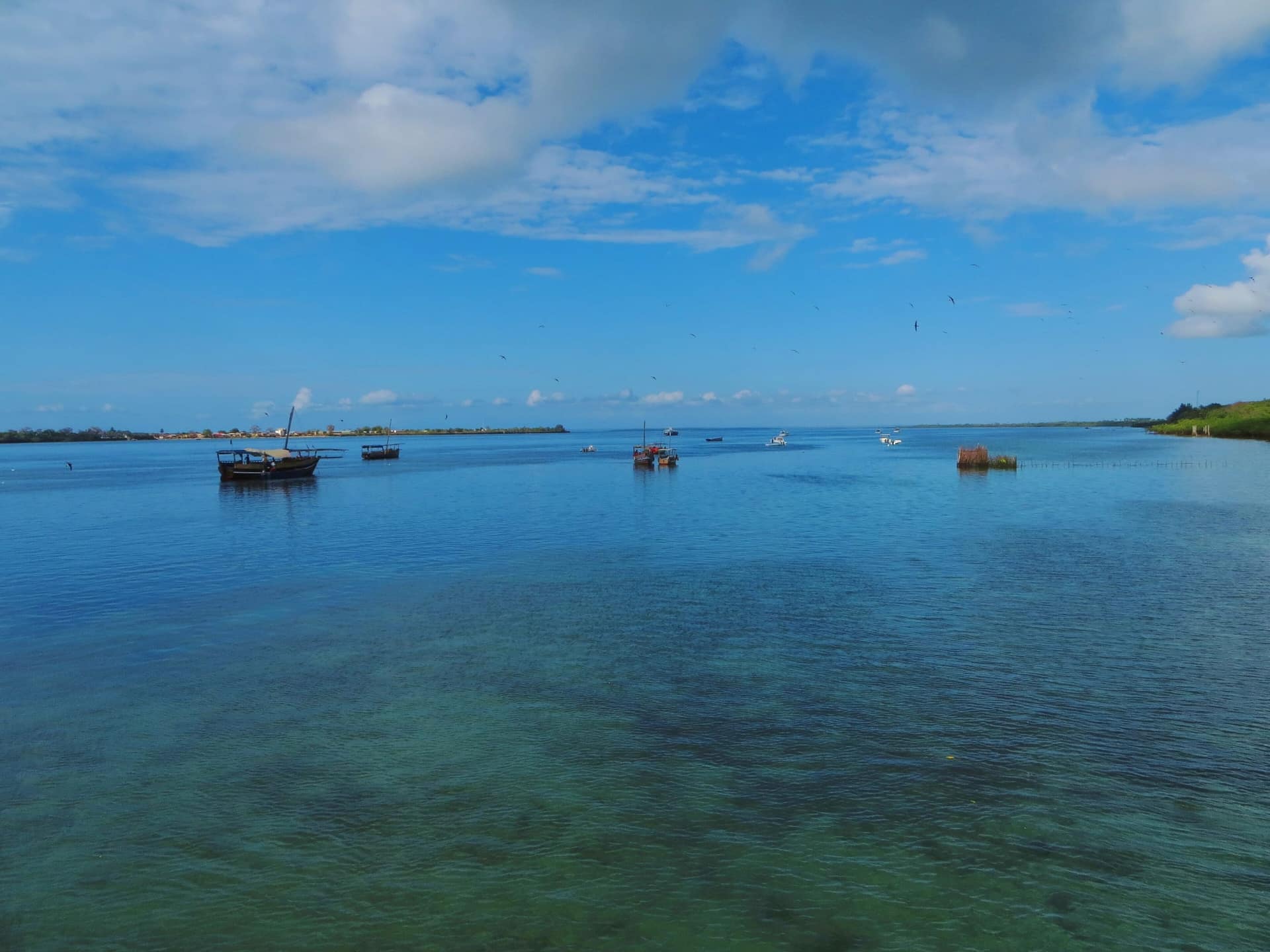 Traditionelle Fischerboote auf ruhigem, klarem Wasser bei Shimoni