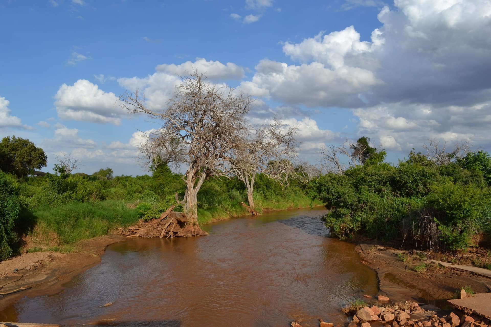 Il fiume Voi vicino alla diga di Aruba nel Parco Nazionale dello Tsavo Est