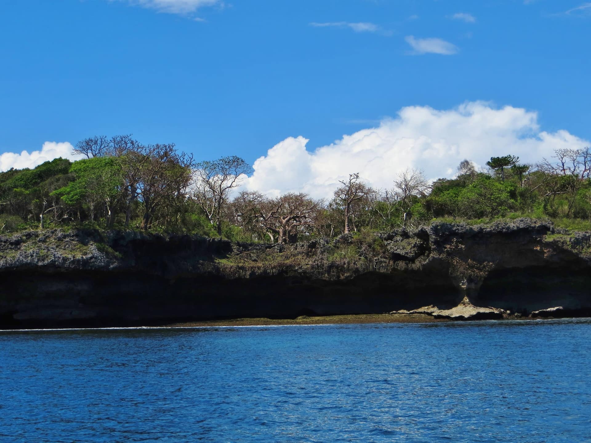La costa di roccia corallina dell'isola di Wasini vista dal mare