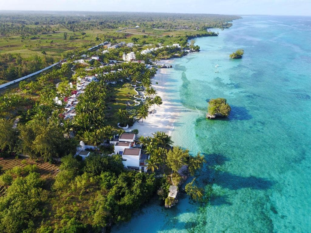 Aerial view of the Pemba Island coastline with palm trees and a reef