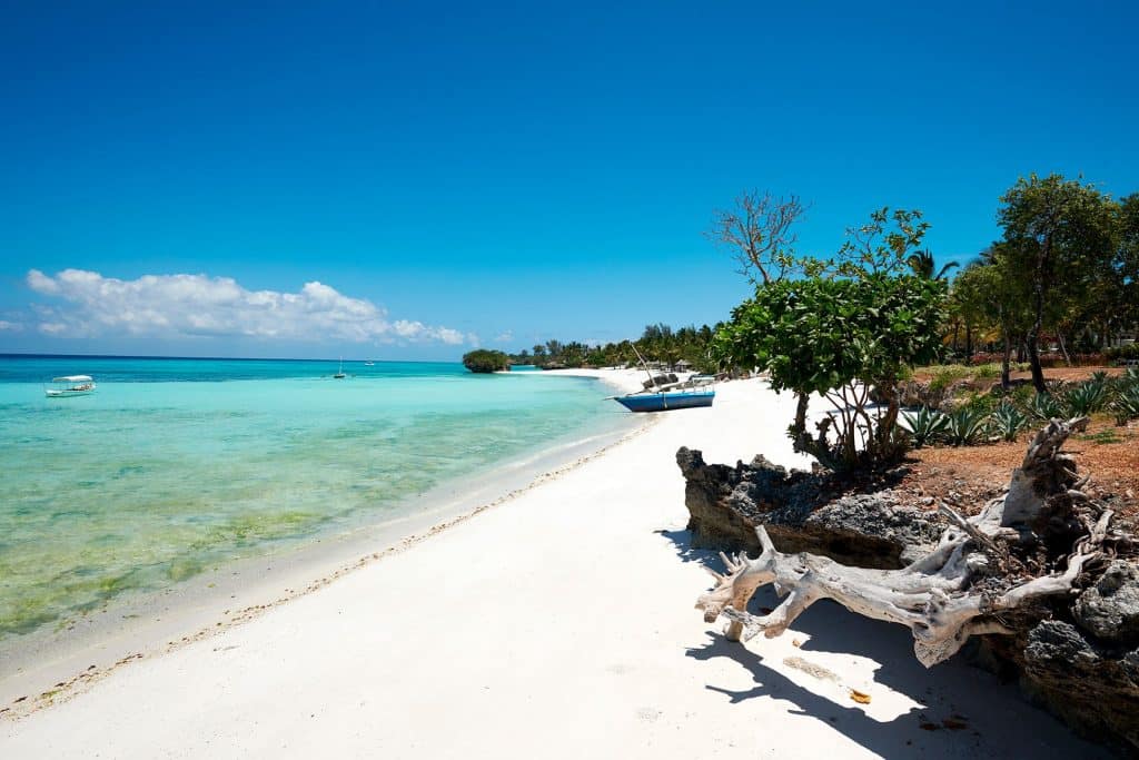 A quiet white-sand beach on Pemba Island with driftwood